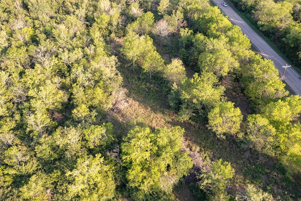 D Falcon Surv Abs - Land