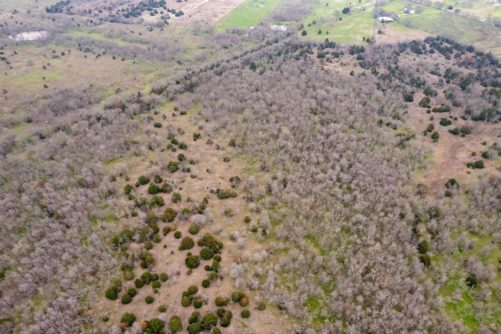 D Falcon Surv Abs - Land