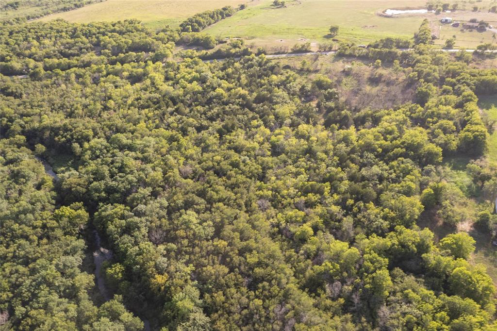 D Falcon Surv Abs - Land