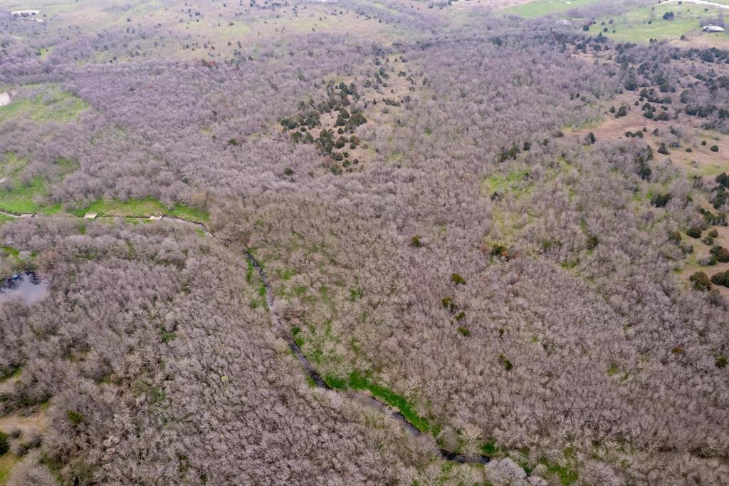 D Falcon Surv Abs - Land