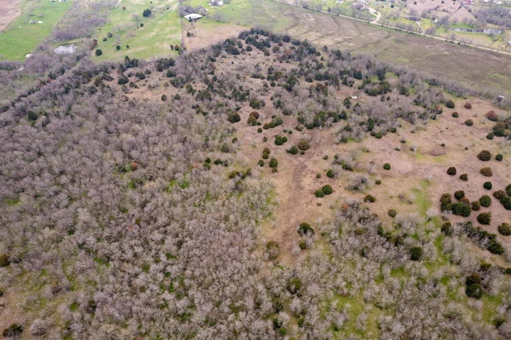 D Falcon Surv Abs - Land