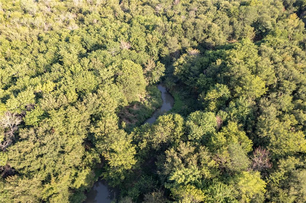 D Falcon Surv Abs - Land