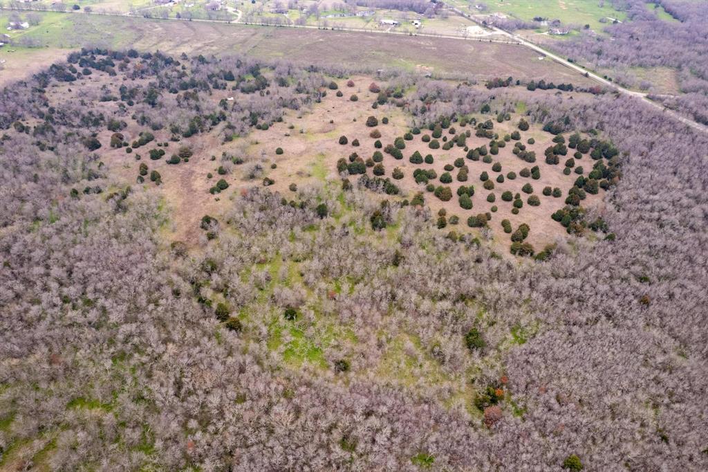 D Falcon Surv Abs - Land