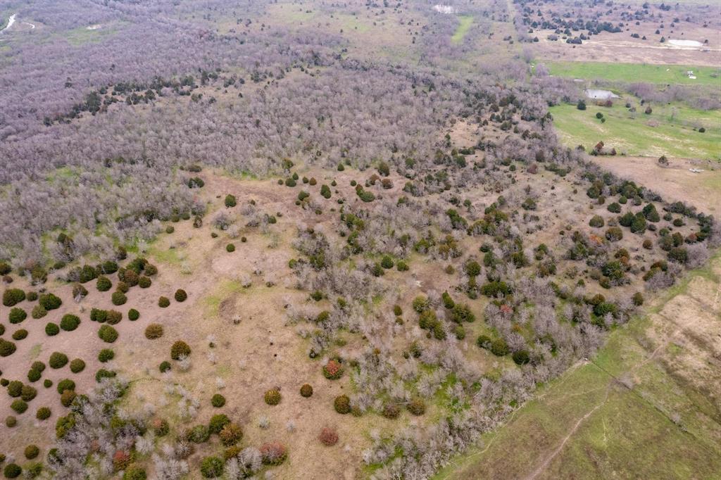 D Falcon Surv Abs - Land