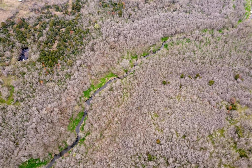 D Falcon Surv Abs - Land