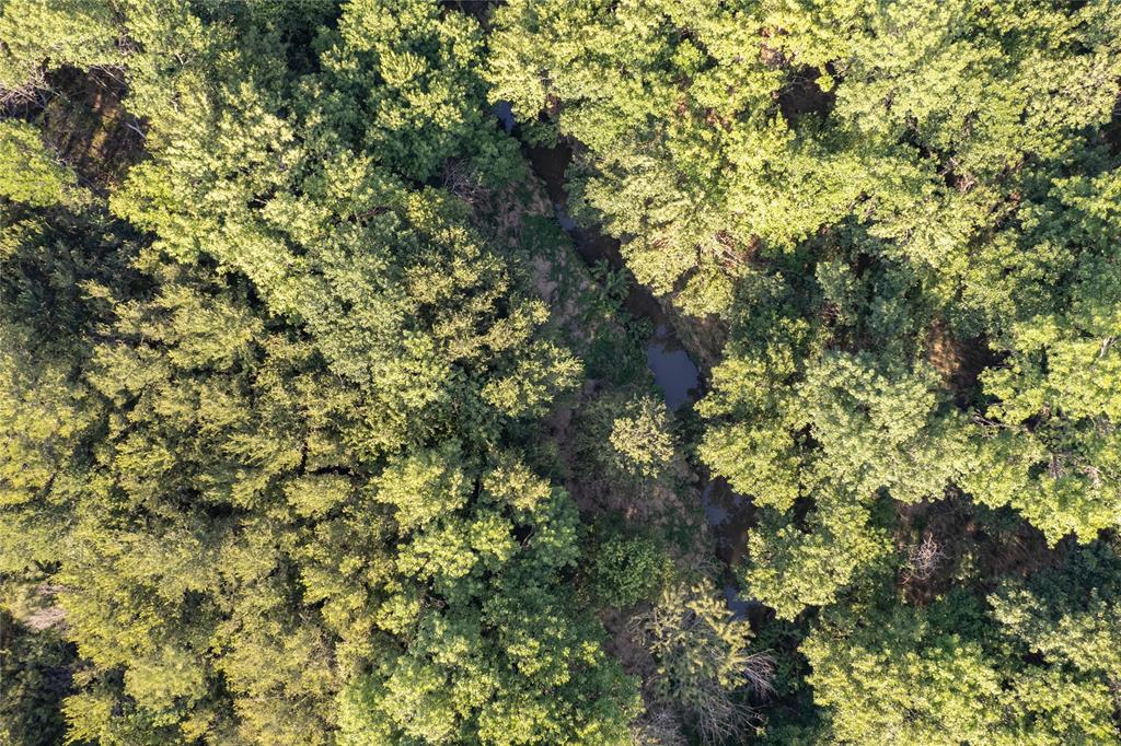 D Falcon Surv Abs - Land