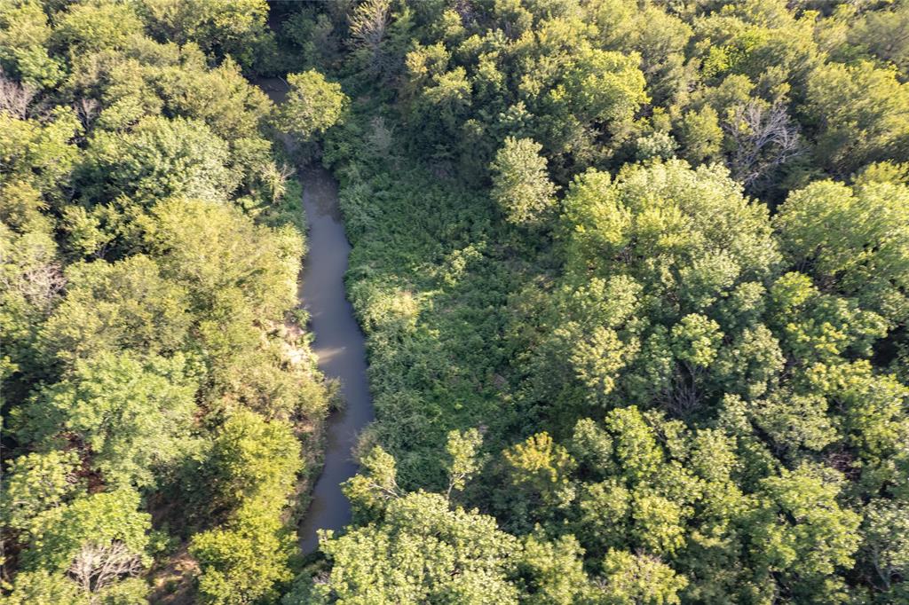 D Falcon Surv Abs - Land