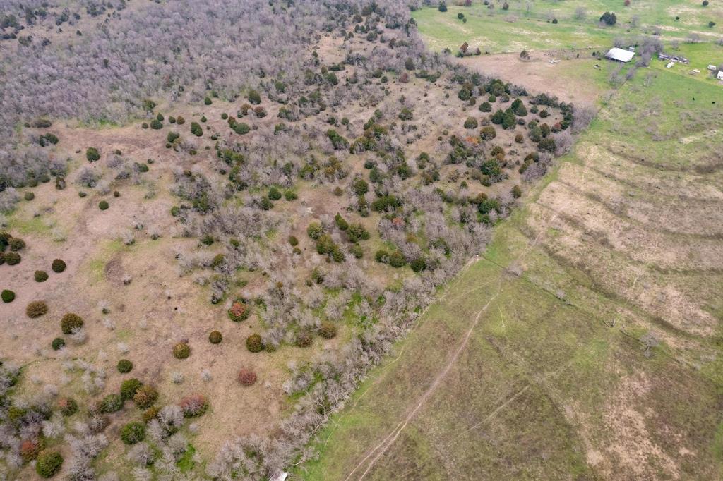 D Falcon Surv Abs - Land