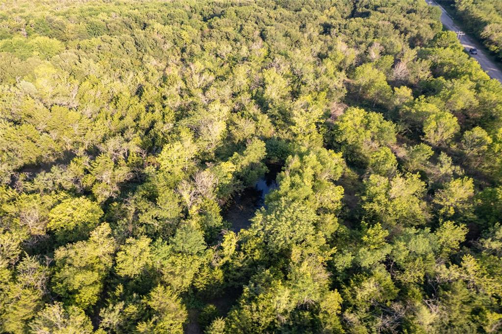 D Falcon Surv Abs - Land