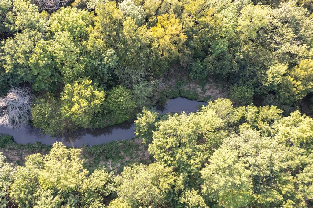 D Falcon Surv Abs - Land