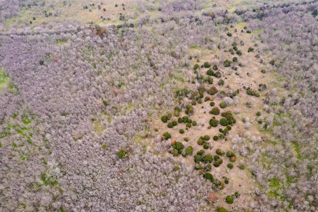 D Falcon Surv Abs - Land