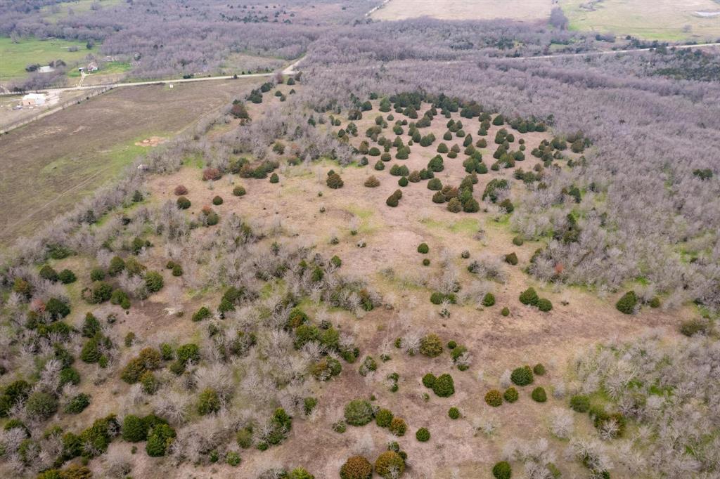 D Falcon Surv Abs - Land