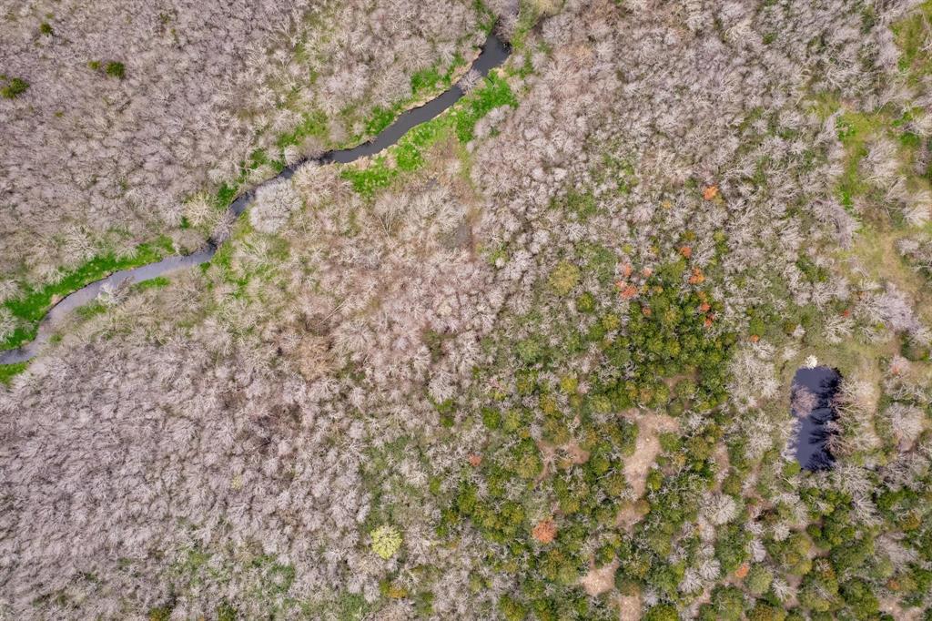 D Falcon Surv Abs - Land