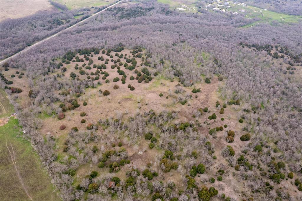 D Falcon Surv Abs - Land