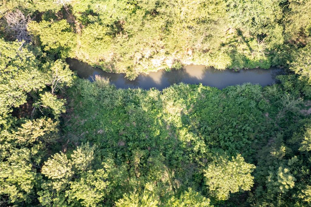 D Falcon Surv Abs - Land