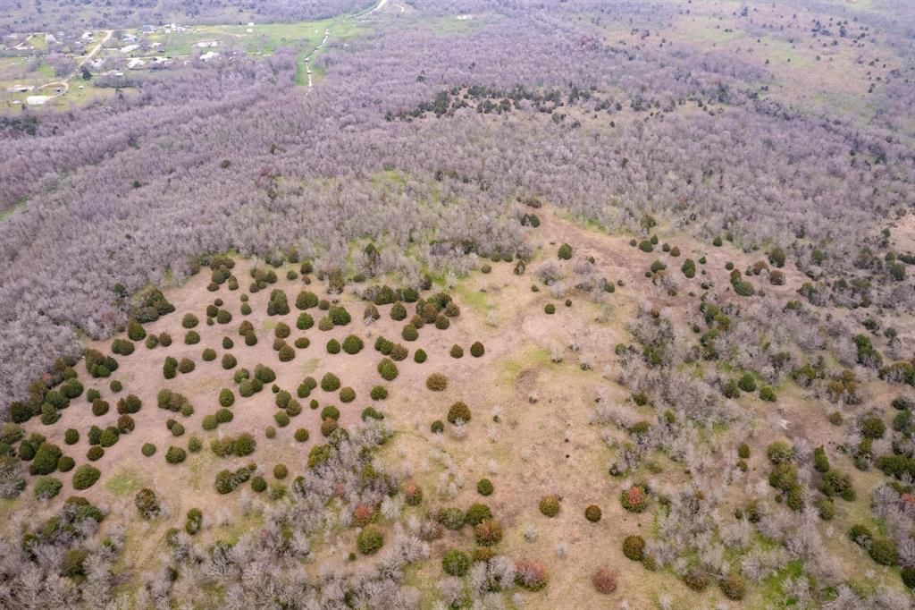 D Falcon Surv Abs - Land