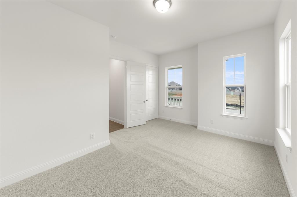 Painted Tree Showcase - Residential