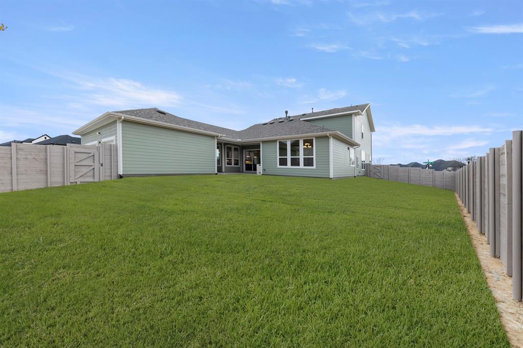 Painted Tree Showcase - Residential