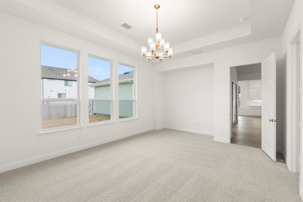 Painted Tree Showcase - Residential