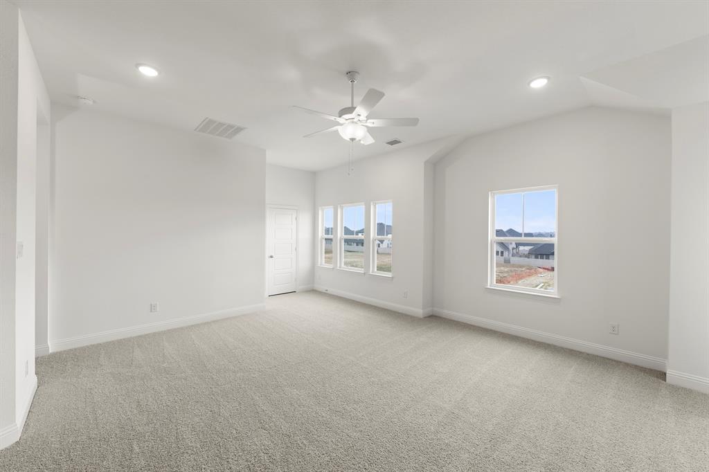 Painted Tree Showcase - Residential