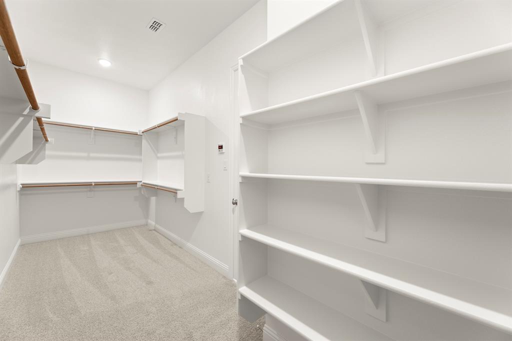 Painted Tree Showcase - Residential