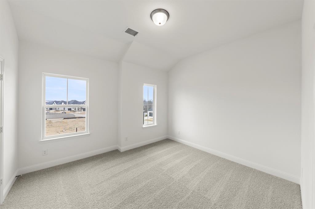 Painted Tree Showcase - Residential