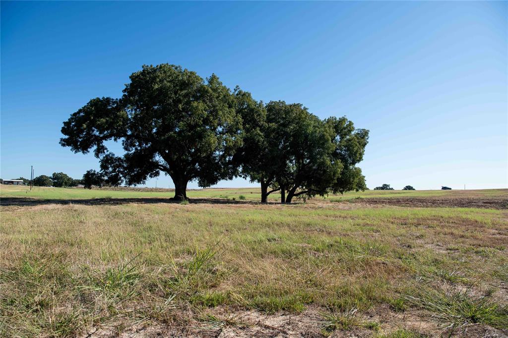 Mockingbird Meadow  Estates East - Land