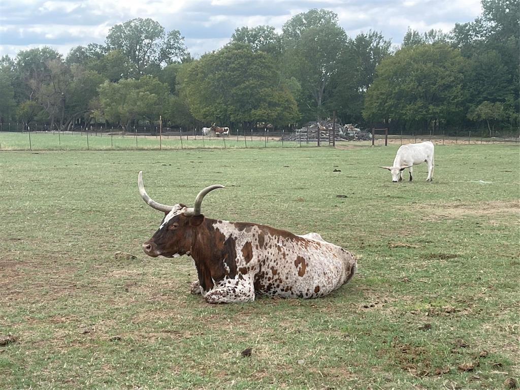 Mockingbird Meadow  Estates East - Land