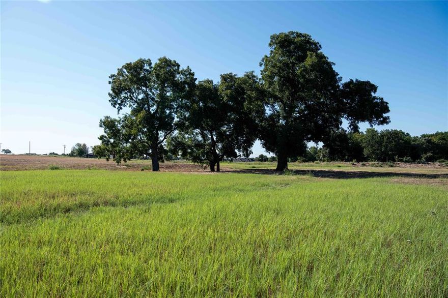 GREAT LOCATION of this 3.28 acre tract just South of Decatur between Decatur and Boyd. Small acreage tracts are hard to find and this one has a nice grove of trees overlooking the new pond with a great building site. Mockingbird Meadow Estates East is a restricted subdivision with a mix of smaller and larger lots. The location allows easy access to 114 and 287. Decatur and Boyd have fun community events, lots of restaurants and shopping. Bring your own builder or let us help you find a local builder. Call to get started on your dream home. 911 address is 2160 CR 4371.