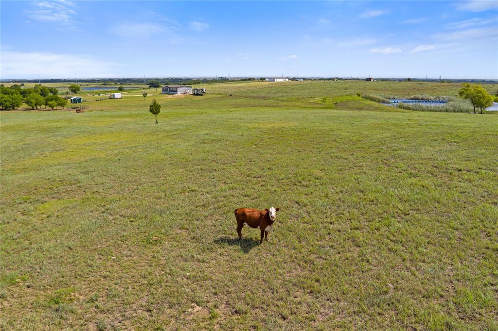 J Wallace Surv Abs #938 - Residential