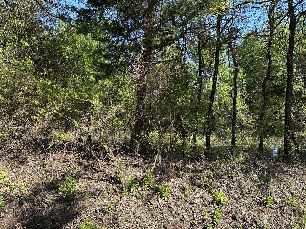 Tract 13 County Road 2951