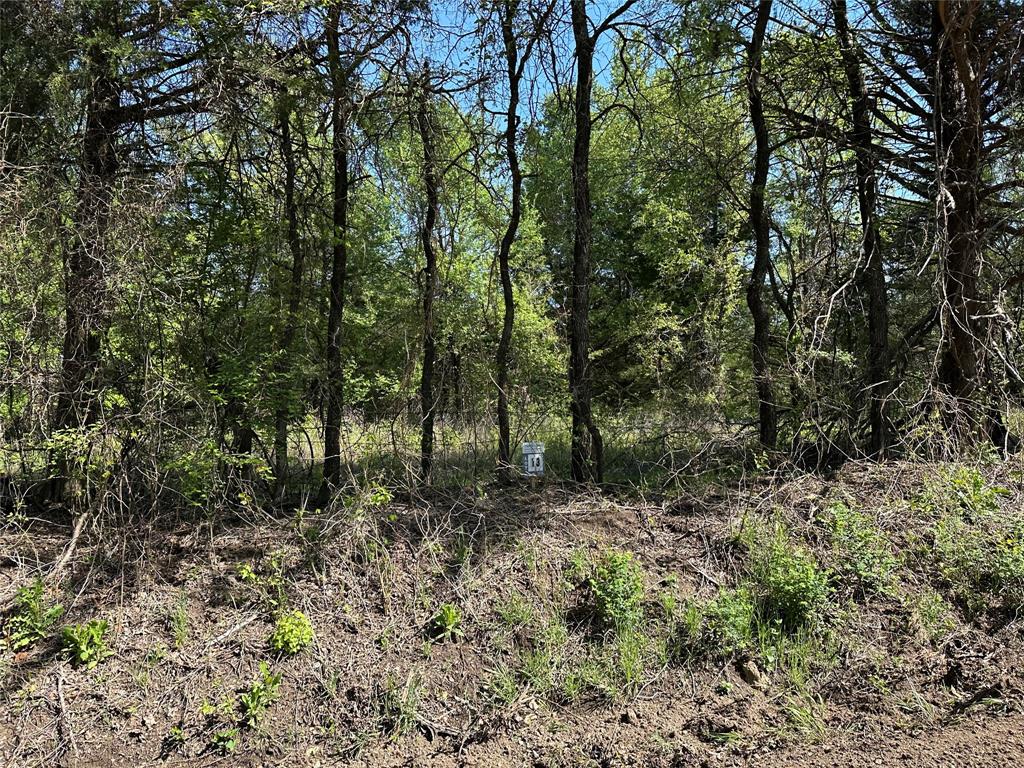 Tract 13 County Road 2951