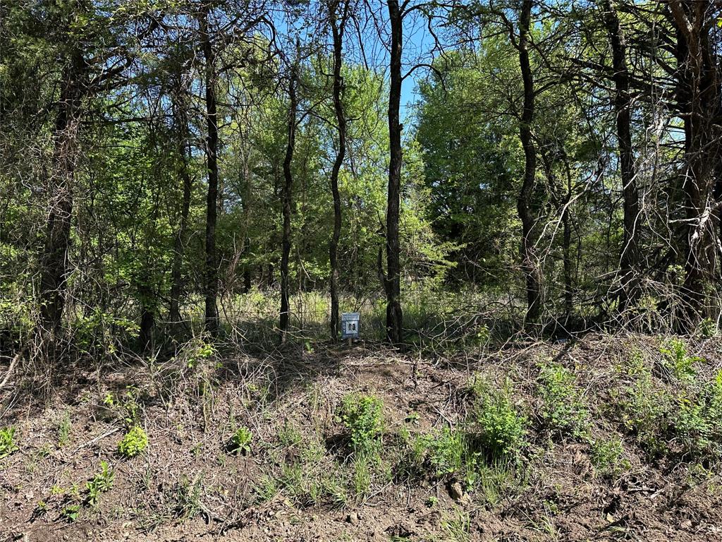 Bois D'Acre Lake Estates - Land