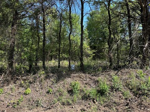 Tract 13 County Road 2951 Honey Grove TX 75446