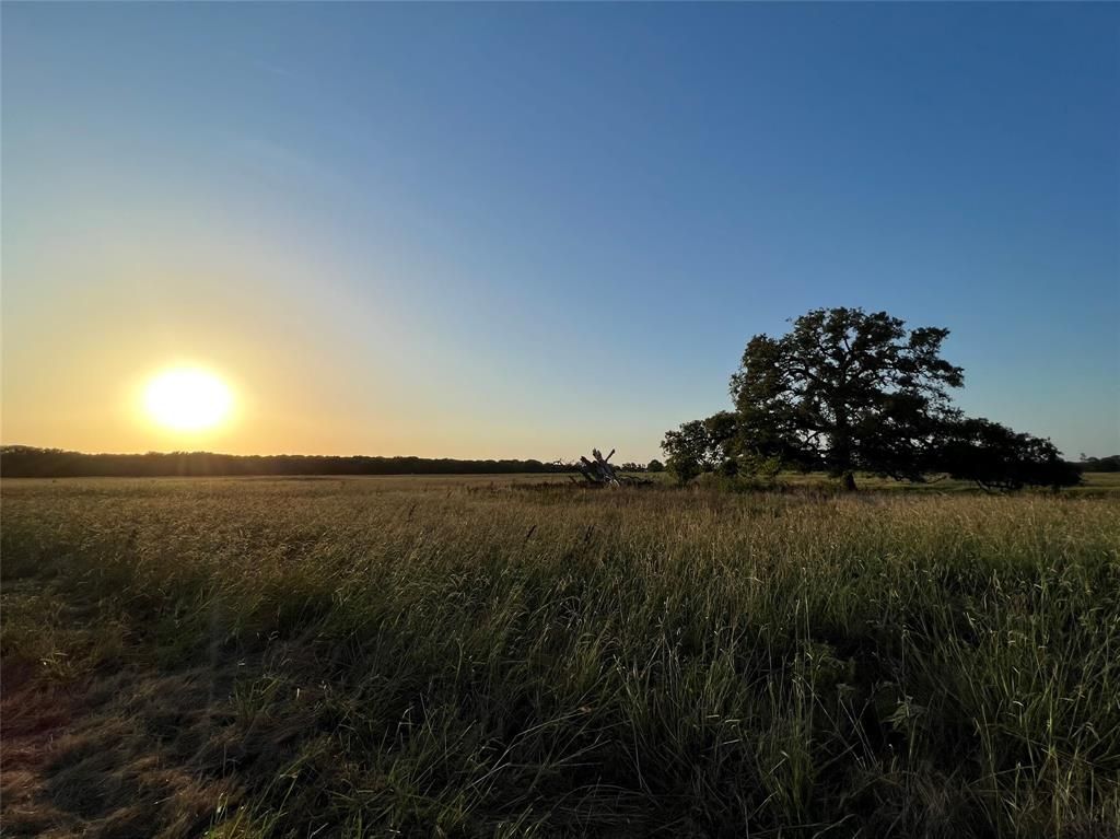 Photo of 527 County Road 3351, Saltillo, TX 75478 (MLS # 21157773)