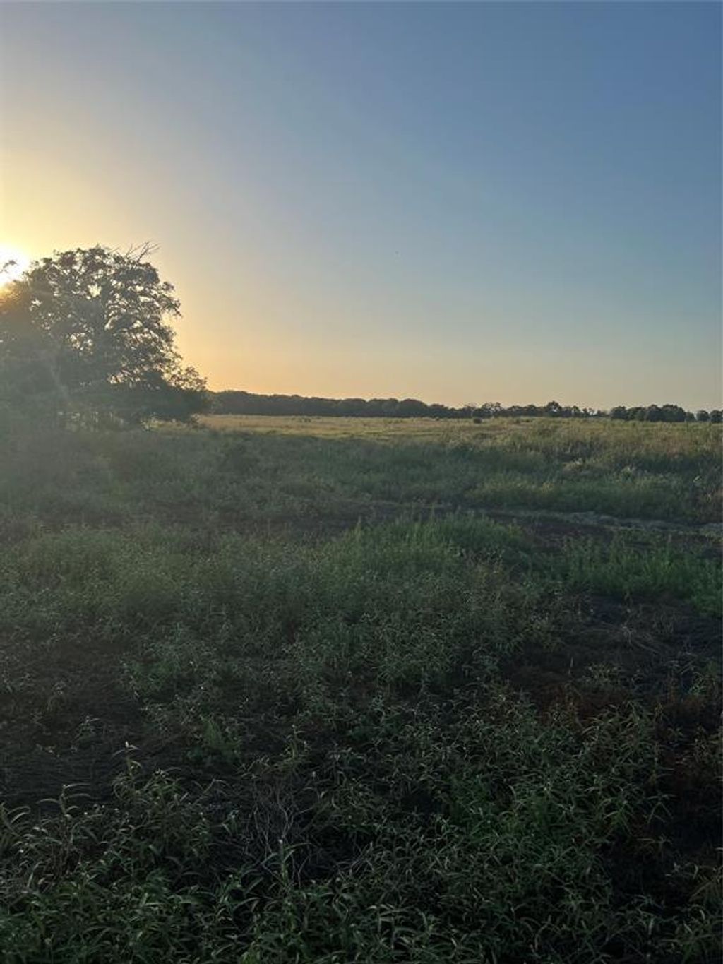 Photo of 527 County Road 3351, Saltillo, TX 75478 (MLS # 21157773)