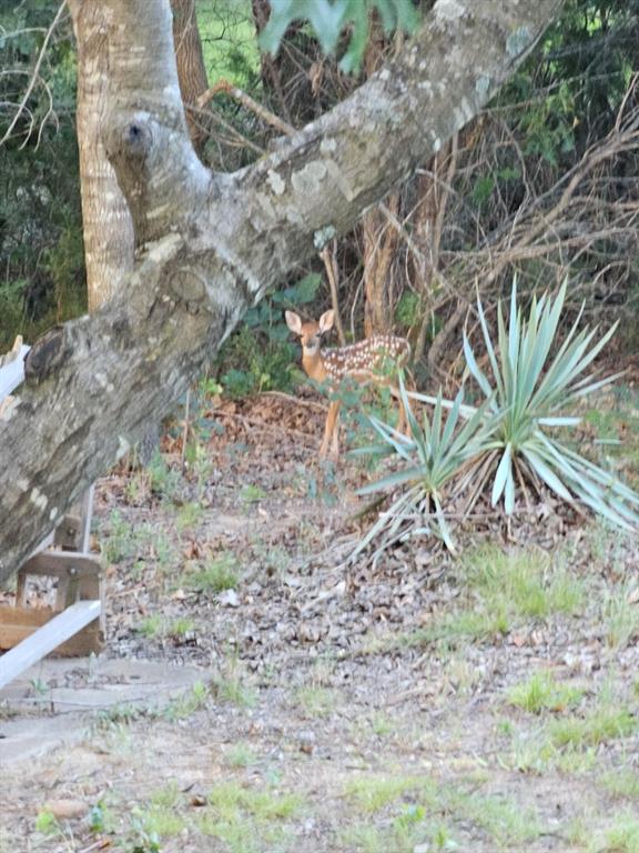 Cattlebaron Parc III - Residential