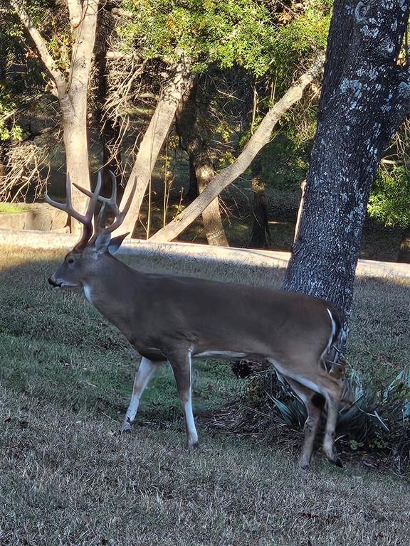 Cattlebaron Parc III - Residential