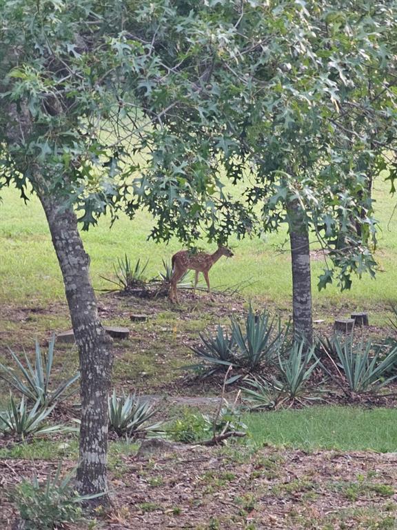 Cattlebaron Parc III - Residential