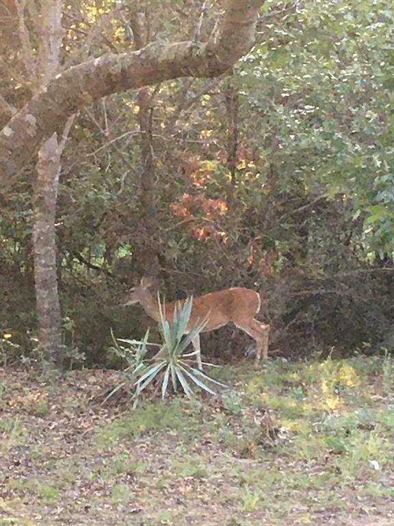Cattlebaron Parc III - Residential