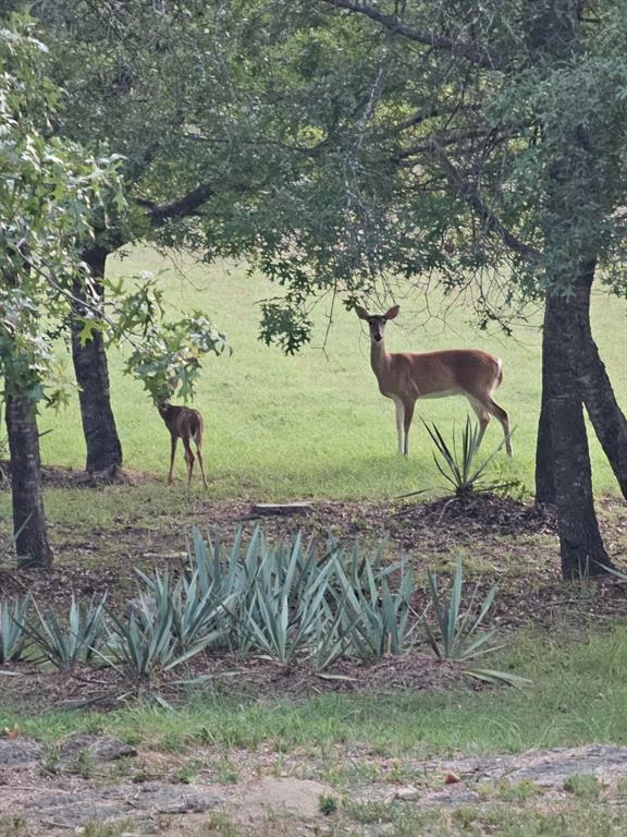 Cattlebaron Parc III - Residential