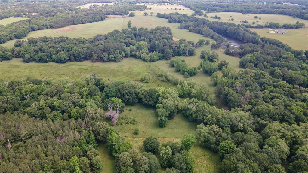 18409 County Road 477