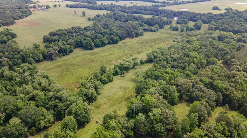 18409 County Road 477