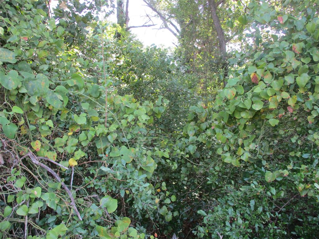 Joseph Harges - Land