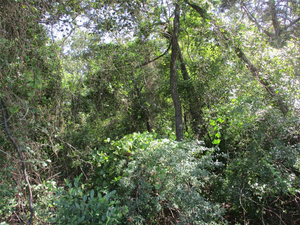 Joseph Harges - Land