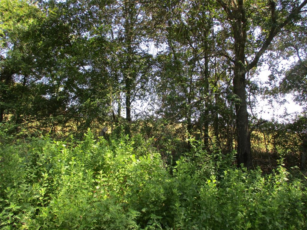 Joseph Harges - Land