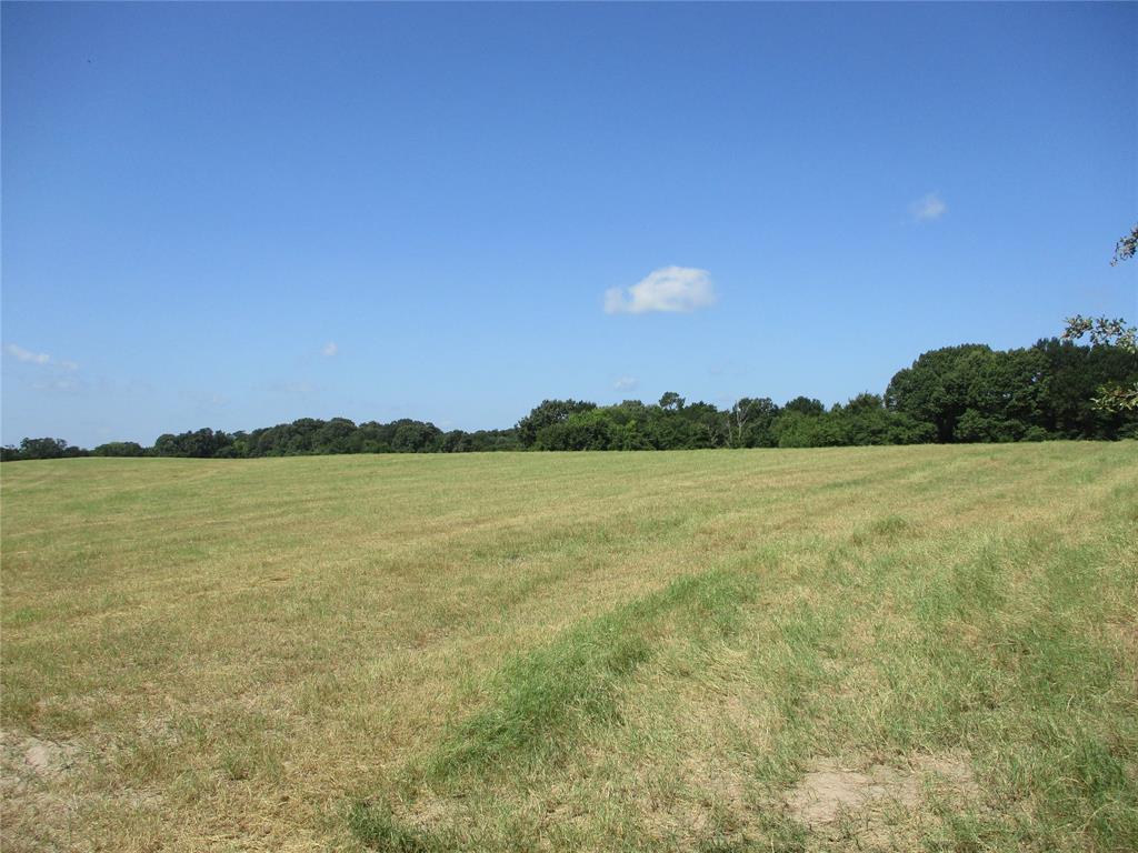 Joseph Harges - Land