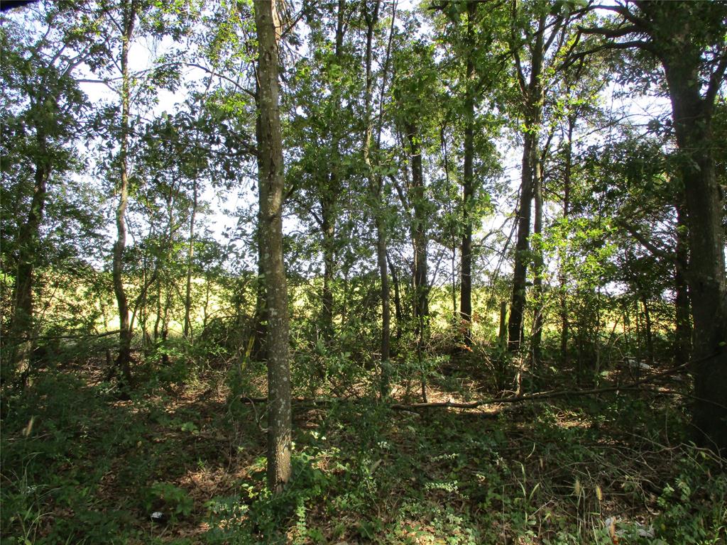 Joseph Harges - Land