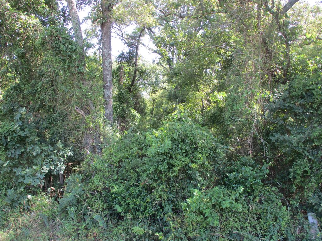 Joseph Harges - Land