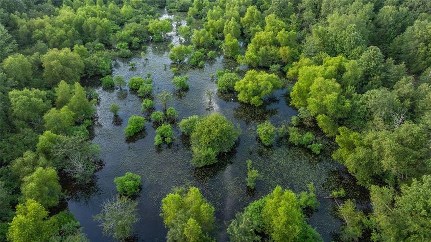 Discover a breathtaking 1,203-acre outdoor paradise along the Sabine River in Big Sandy, TX. This expansive property features a 3.5-acre natural oxbow lake and over 3 miles of Sabine River frontage, offering unparalleled fishing and recreational opportunities. With 1,000 acres of hardwood timber, it provides habitat for trophy whitetail deer and multiple duck sloughs for diverse waterfowl hunting. The vast forest offers ample hog hunting grounds, small game, and predator hunting, making it an ideal retreat for outdoor enthusiasts and nature lovers. Located off US Hwy 80 between Big Sandy and Gladewater, it offers town amenities with absolute privacy. Gladewater, known as the antique capital of Texas, is nearby, and the Gladewater airport is just 6 miles away, ensuring easy access to modern conveniences while immersing yourself in East Texas' natural beauty. The 1,000 acres of merchantable hardwoods present a unique investment opportunity through timber harvesting or long-term growth.